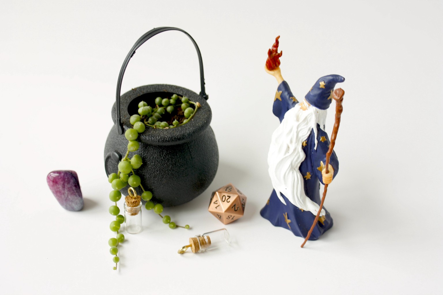 Plants, pen rolls, and jewelry - image 4 - student project