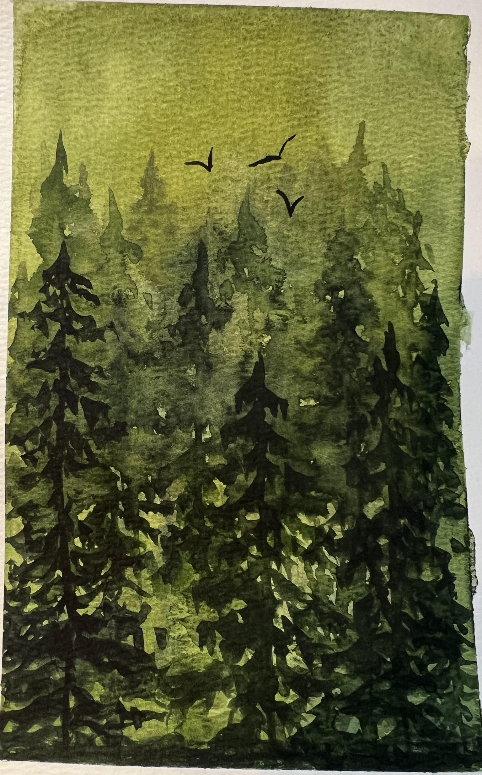 Amber - forests and trees - image 5 - student project