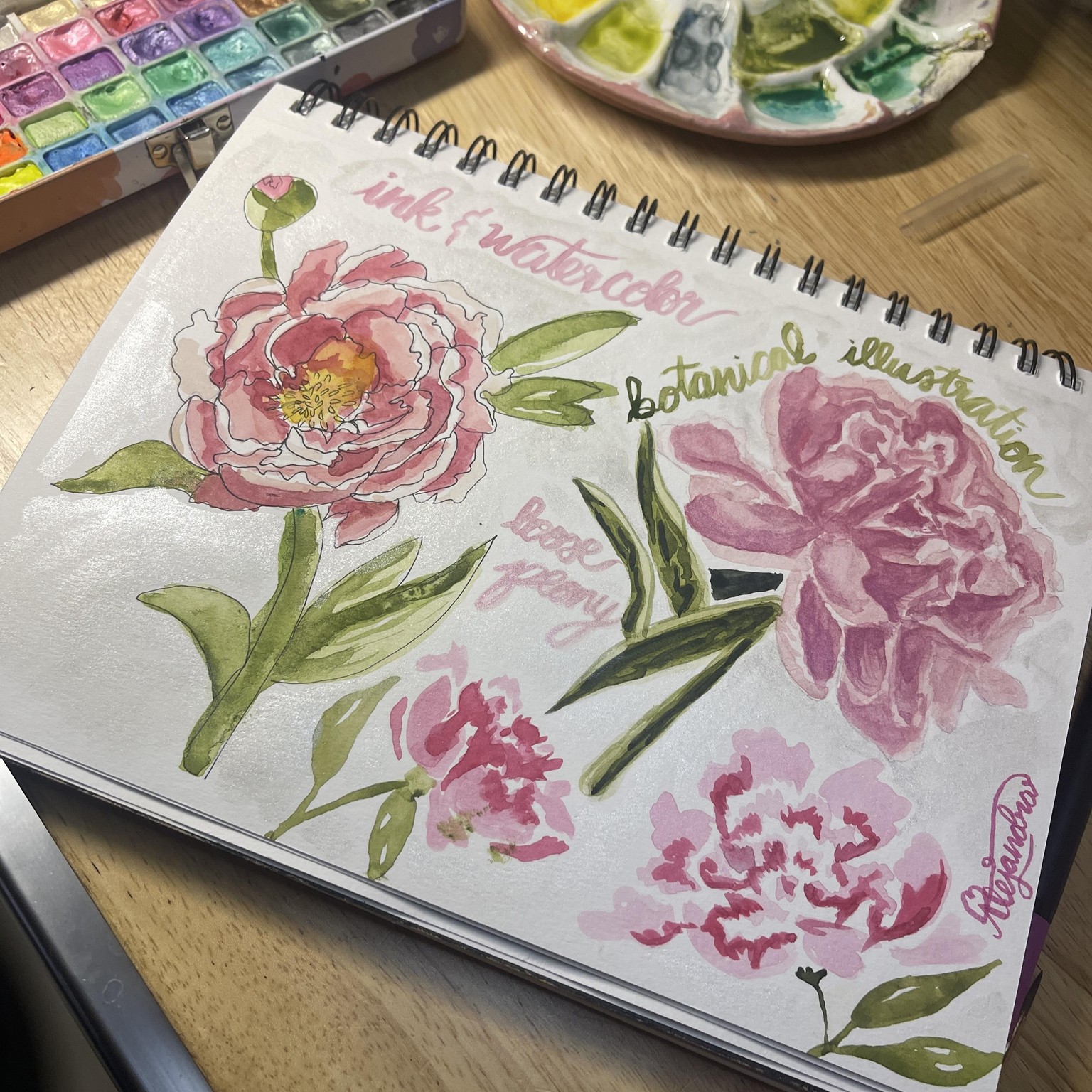 Pretty Peonies - image 1 - student project