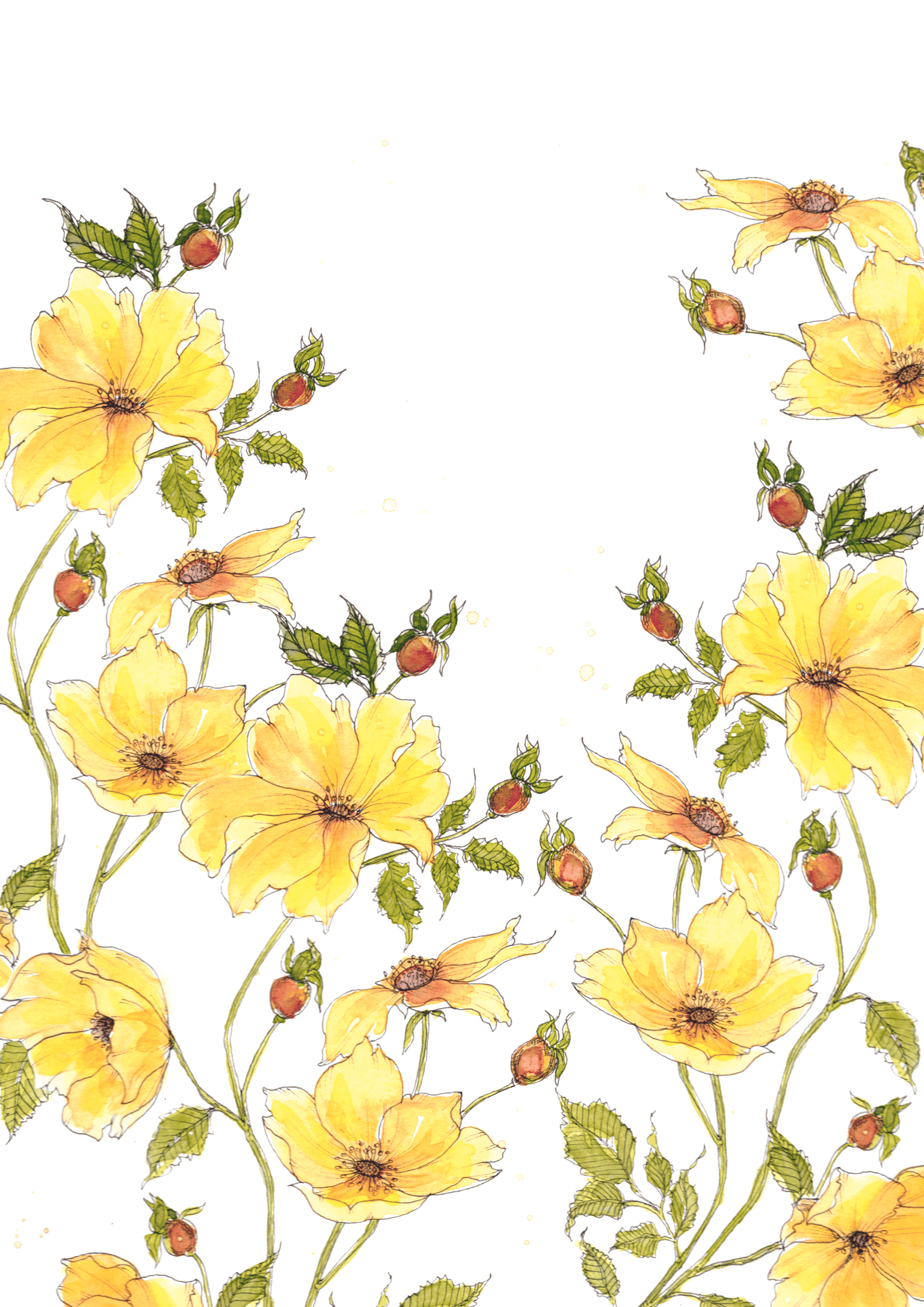 Drawing Leaves & Floral Examples - image 4 - student project