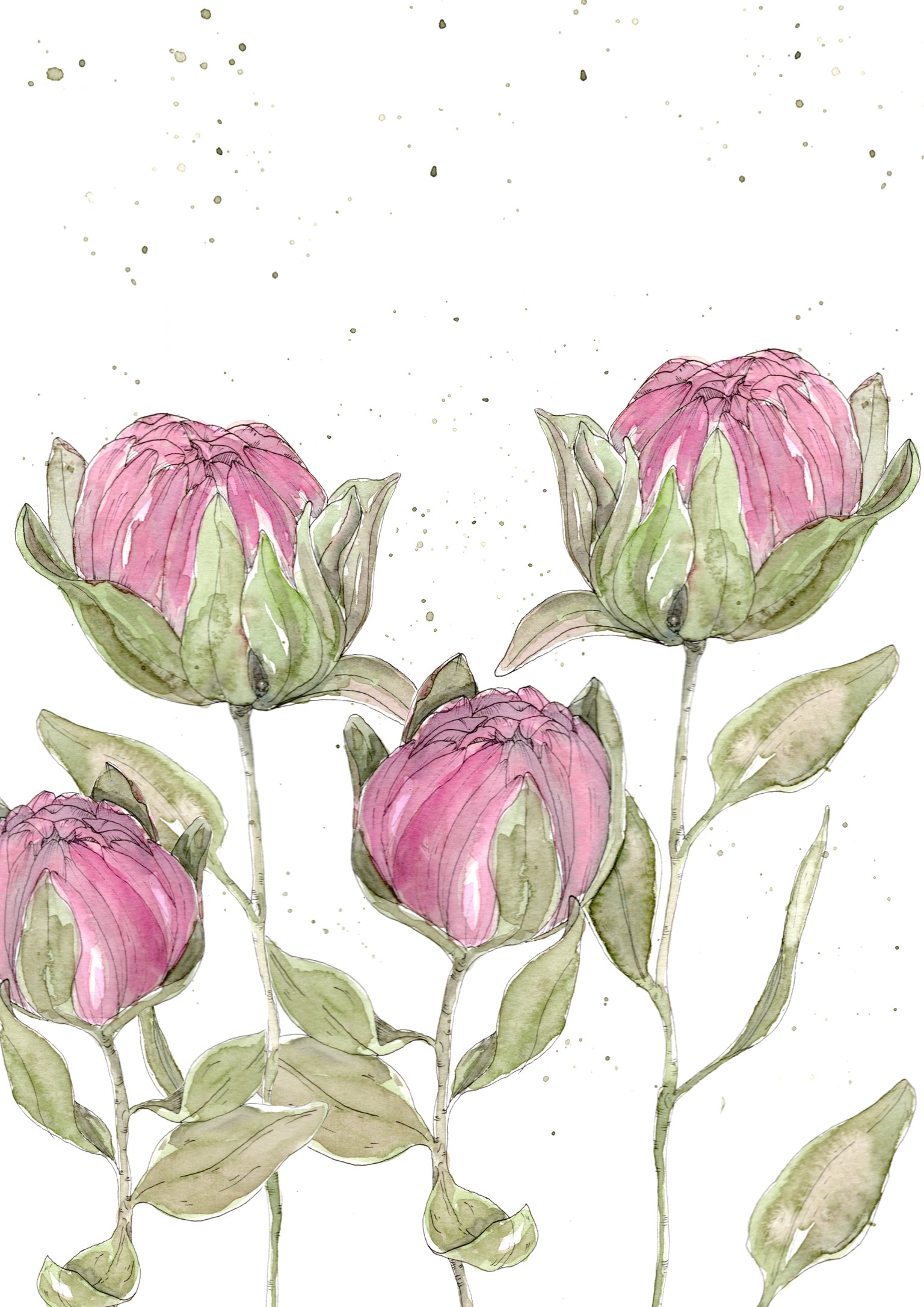 Drawing Leaves & Floral Examples - image 3 - student project