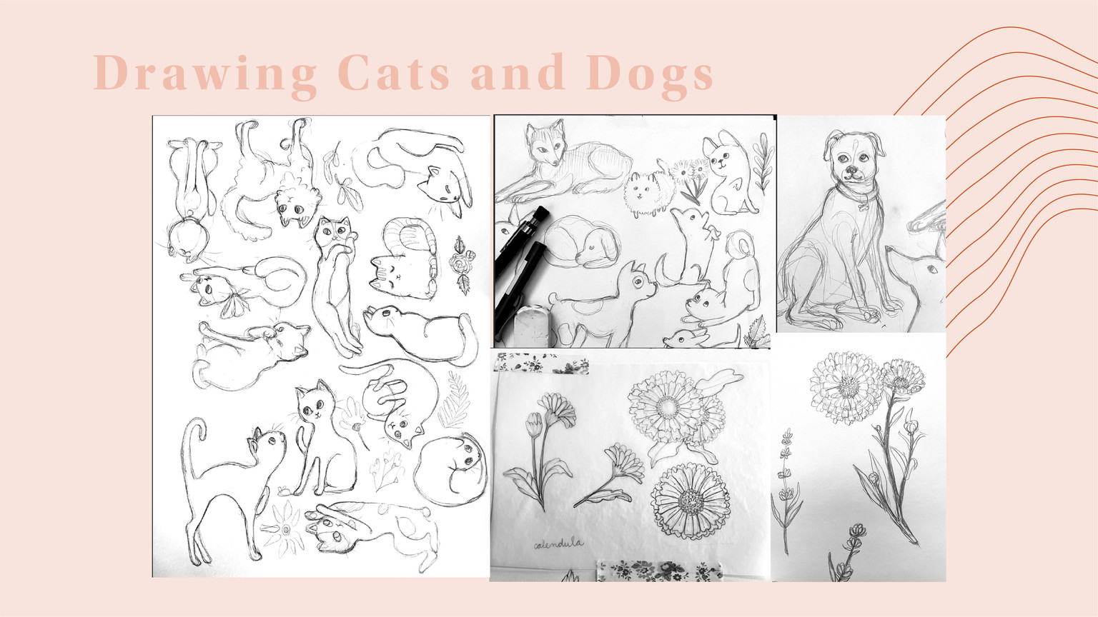 Birdy's Portfolio Presentation - image 6 - student project