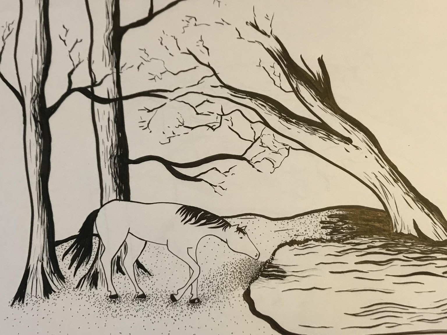 Horses - image 11 - student project