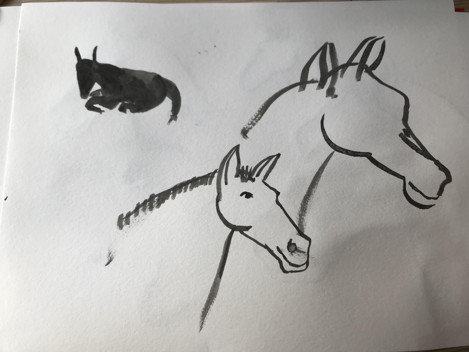 Horses - image 1 - student project