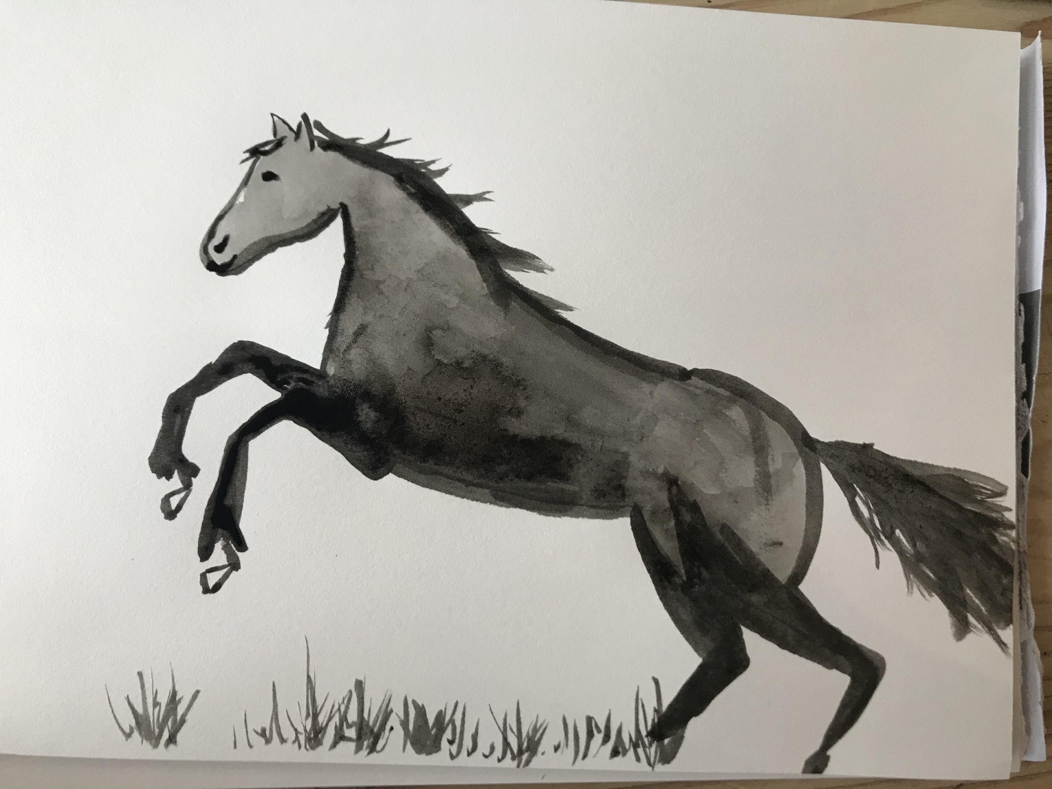 Horses - image 6 - student project