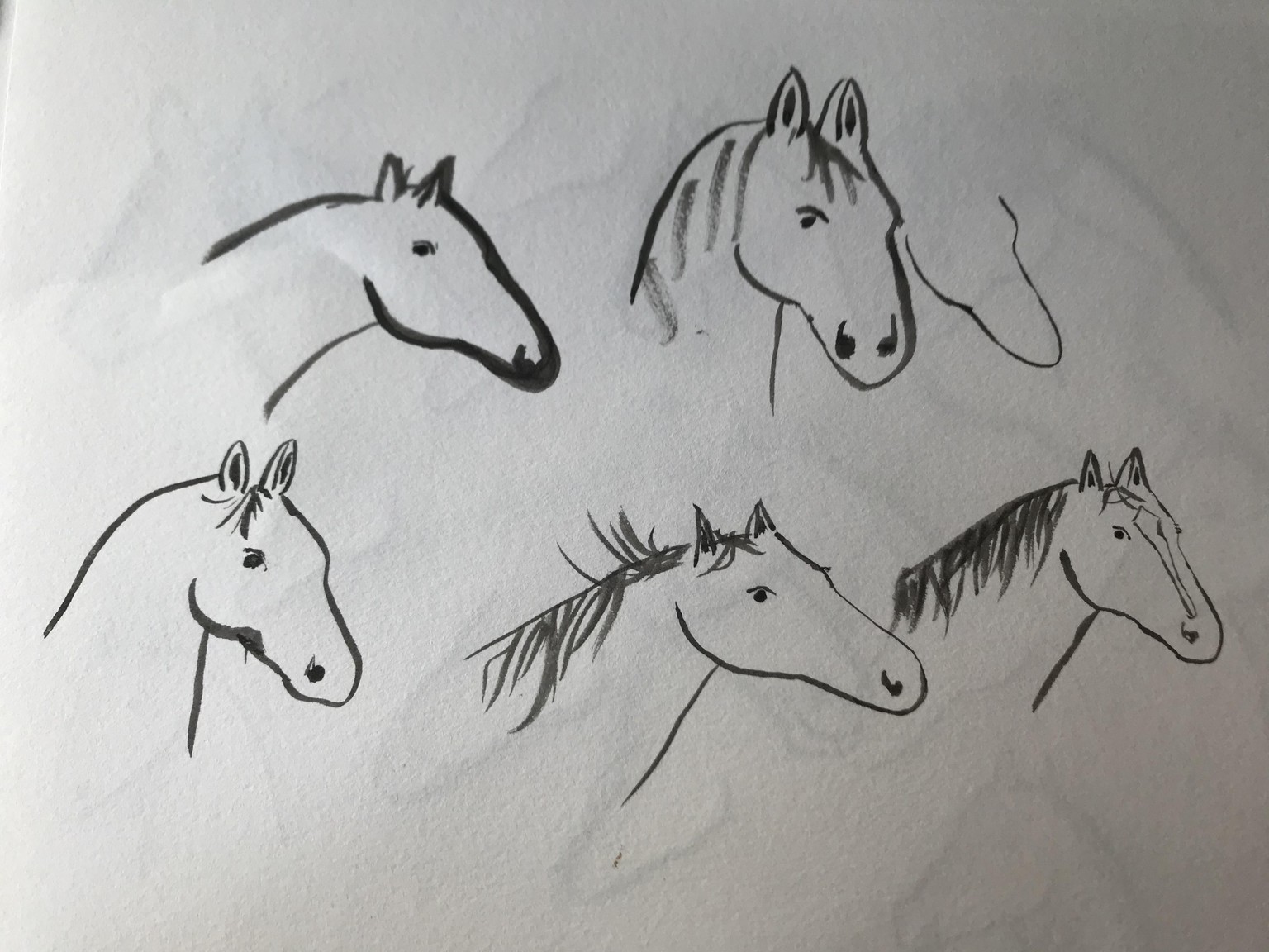 Horses - image 5 - student project