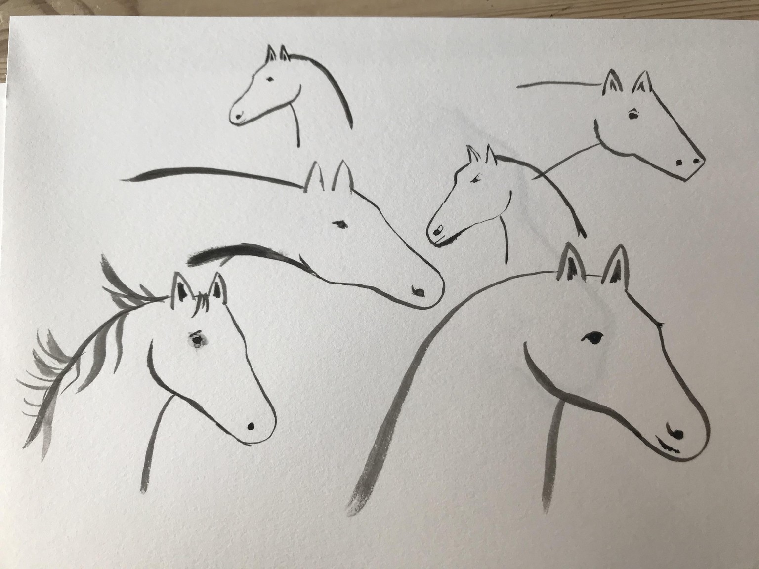Horses - image 4 - student project
