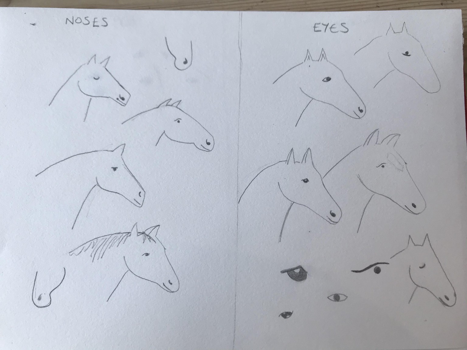 Horses - image 8 - student project