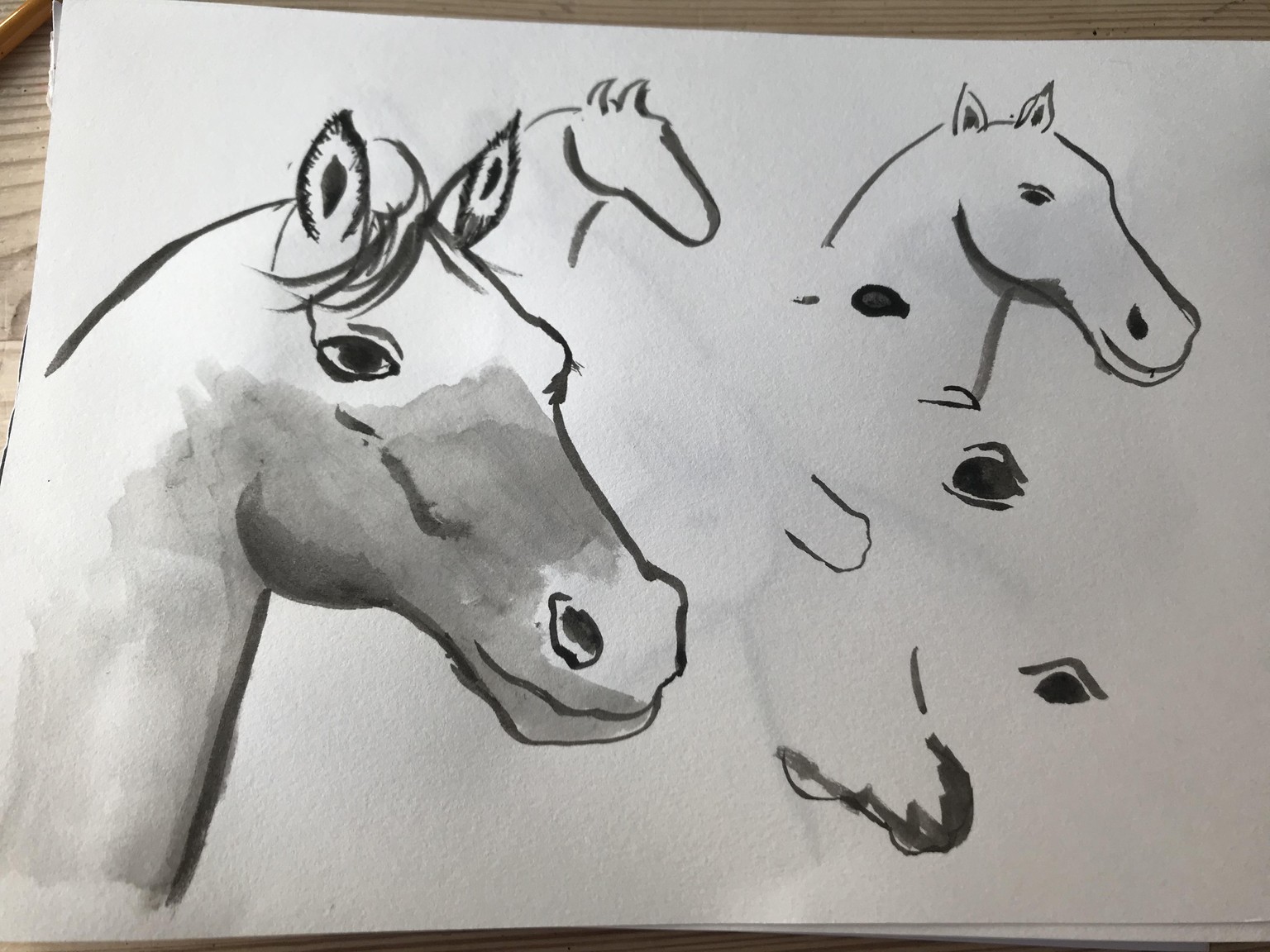Horses - image 2 - student project