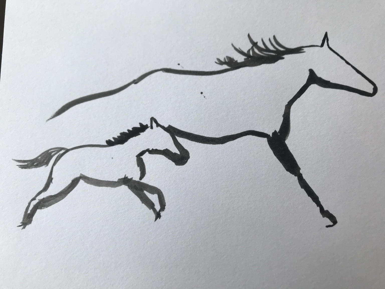 Horses - image 7 - student project