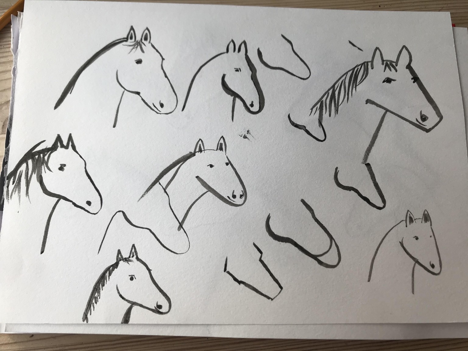Horses - image 3 - student project