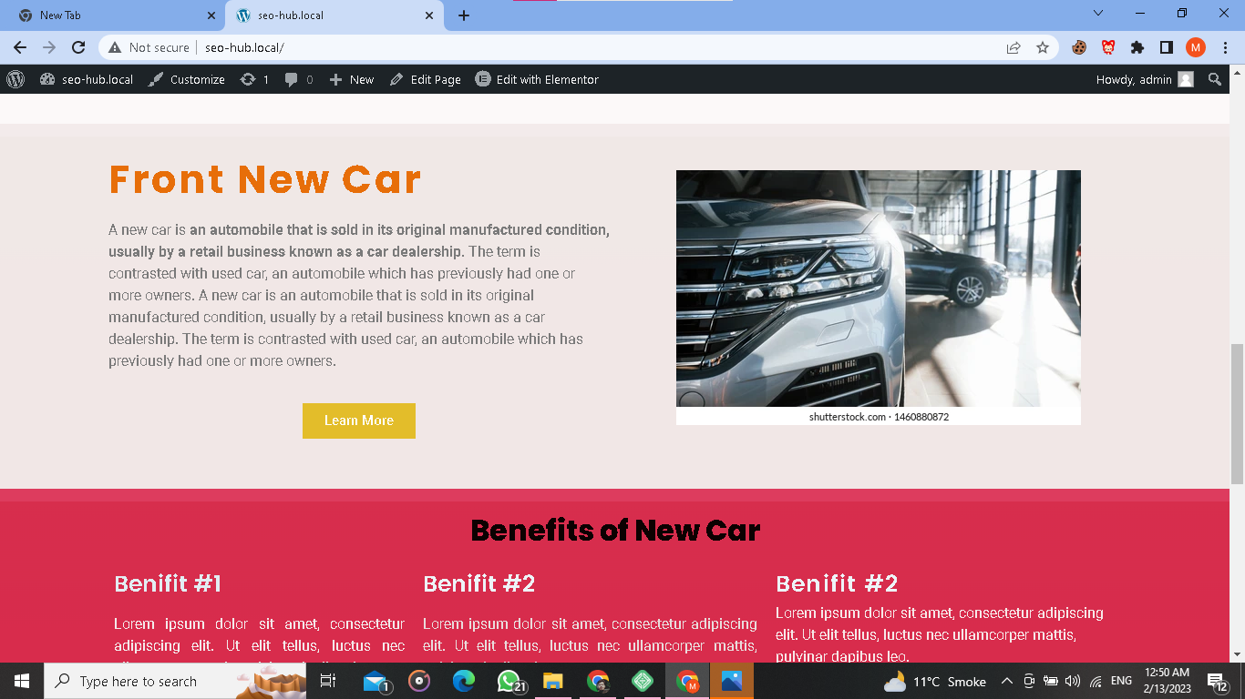 Building Landing Page by Using Elementor pro in Wordprss - image 3 - student project