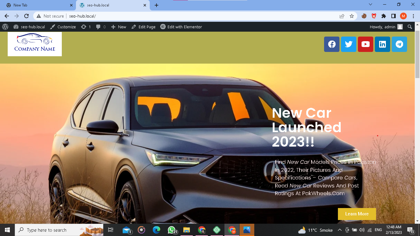Building Landing Page by Using Elementor pro in Wordprss - image 1 - student project