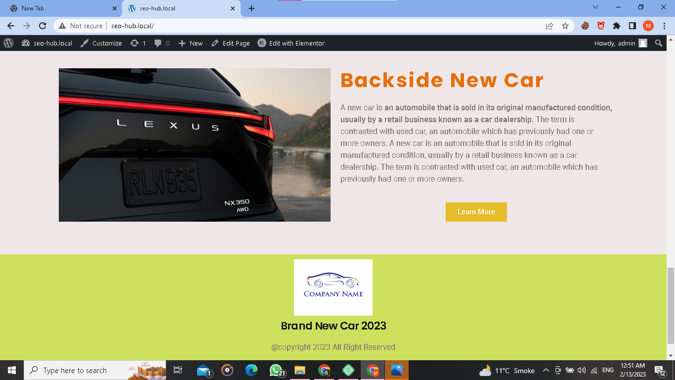 Building Landing Page by Using Elementor pro in Wordprss - image 4 - student project
