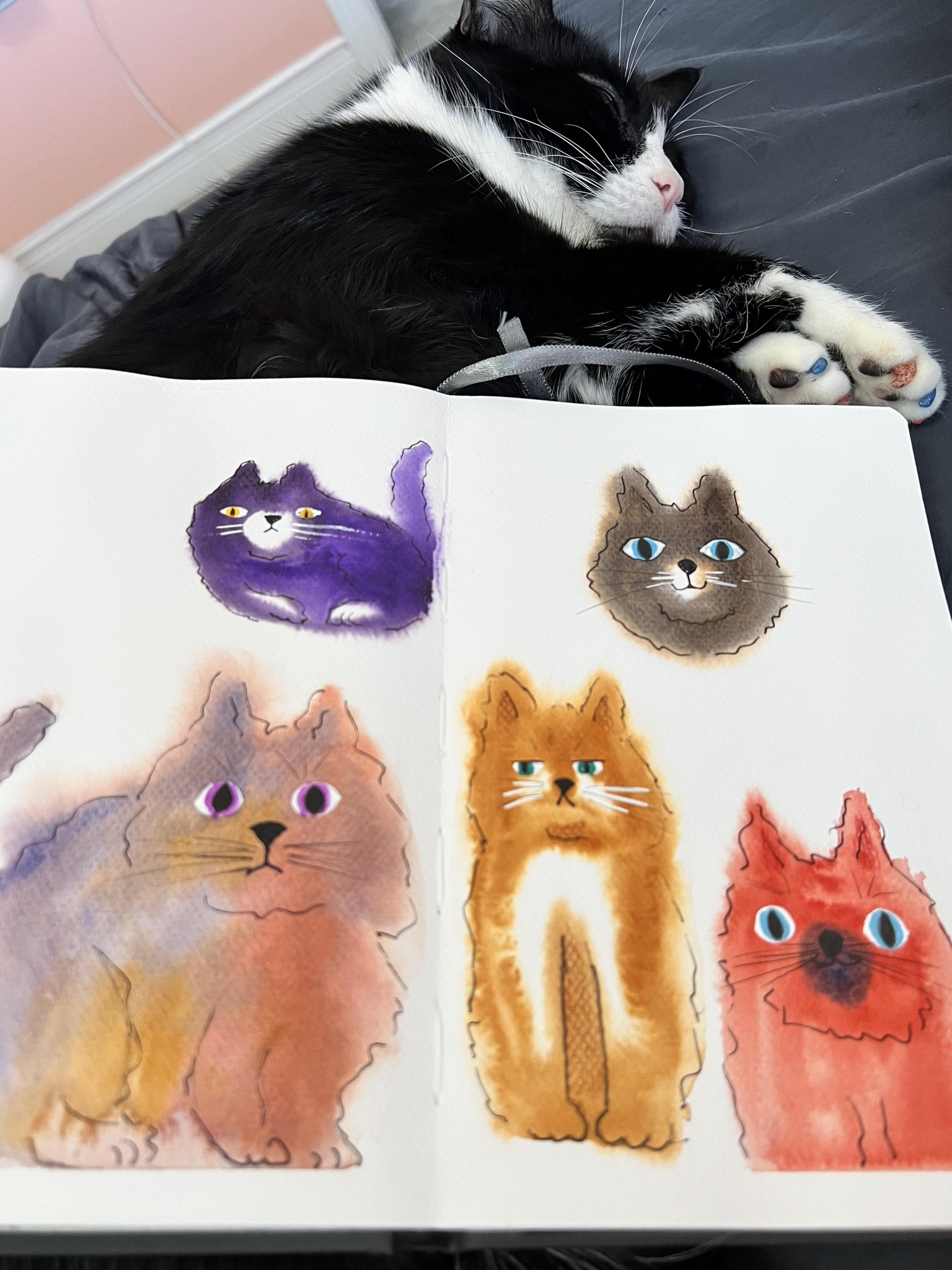 Cats - image 1 - student project