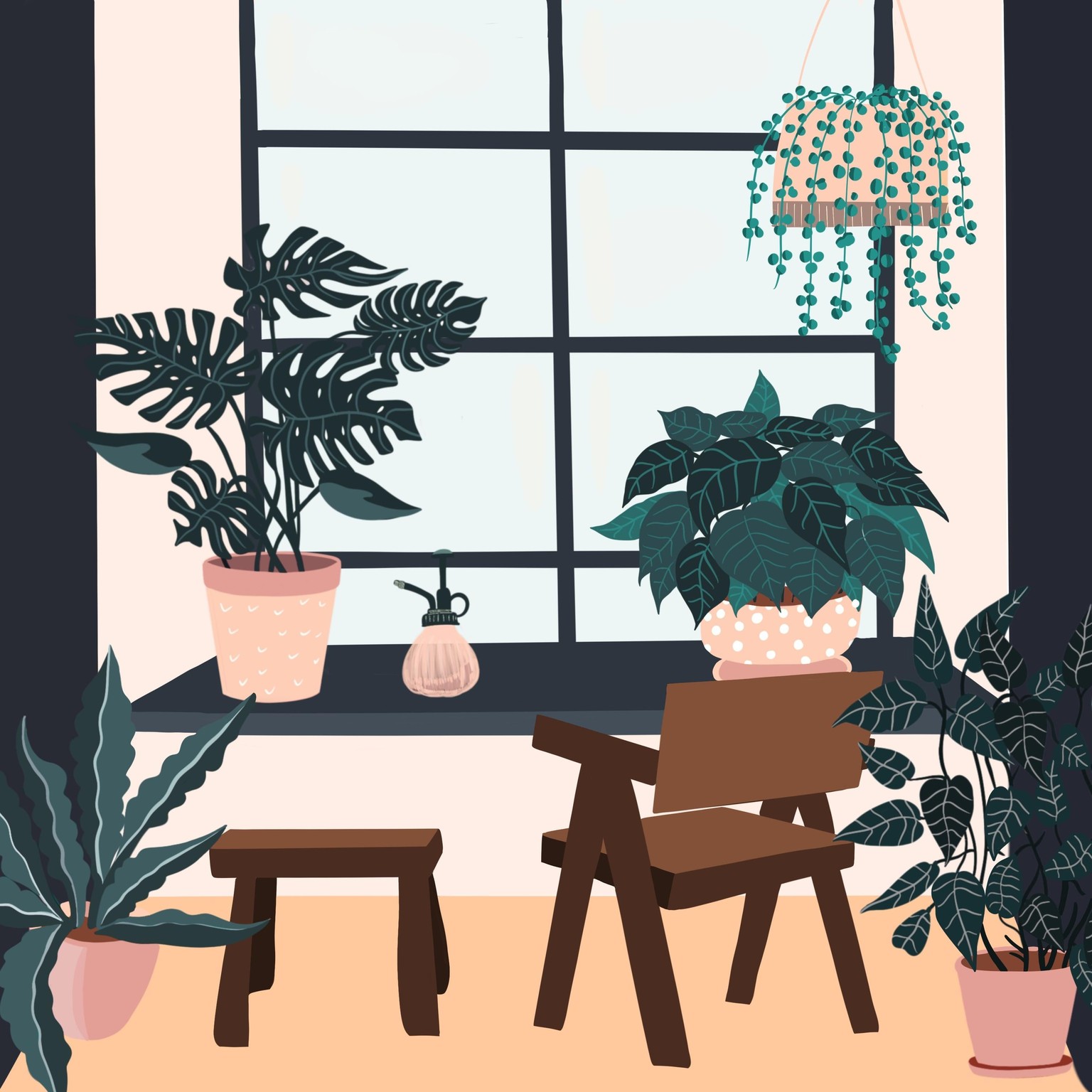 Cats and plants! - image 4 - student project
