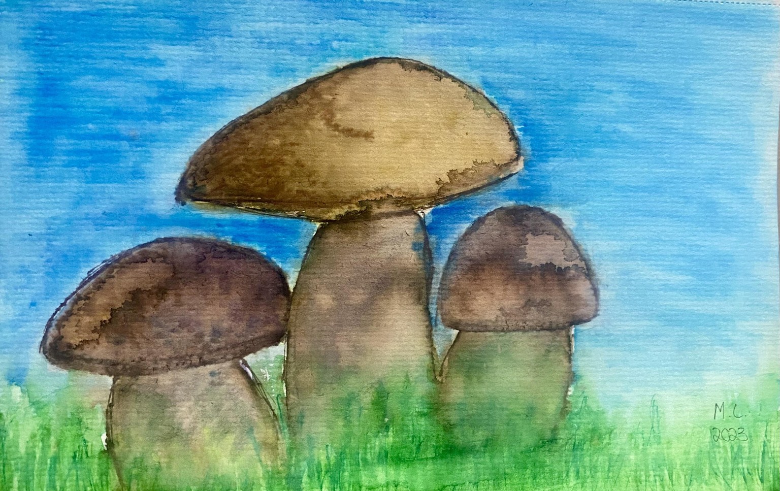 Mushroom with watercolour brushpens - image 2 - student project