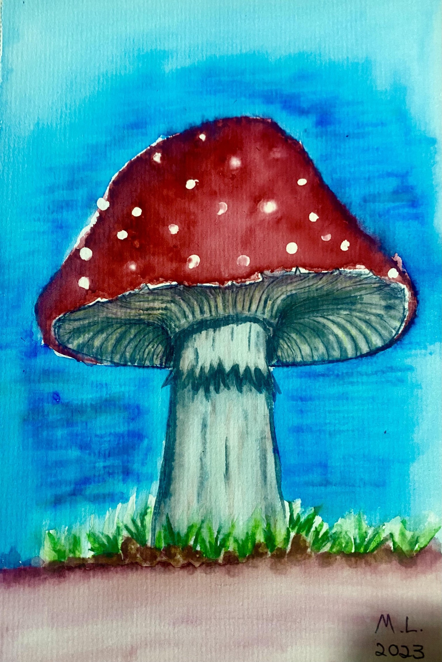 Mushroom with watercolour brushpens - image 3 - student project