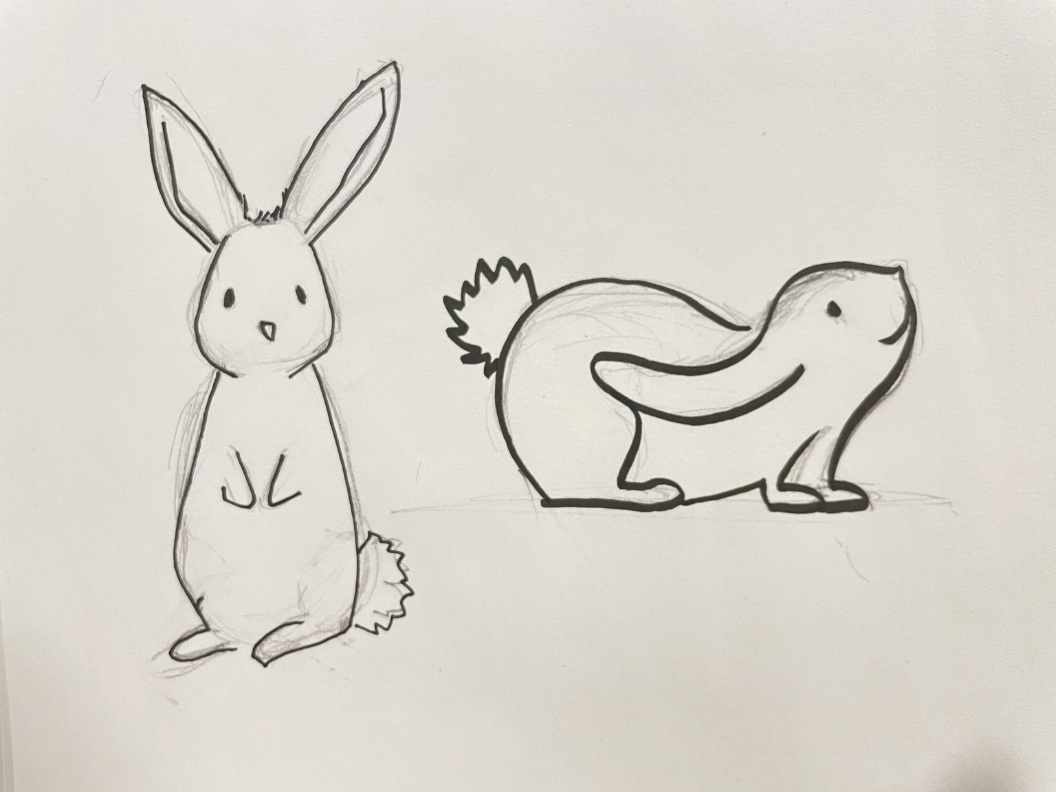 Bunnies - image 1 - student project