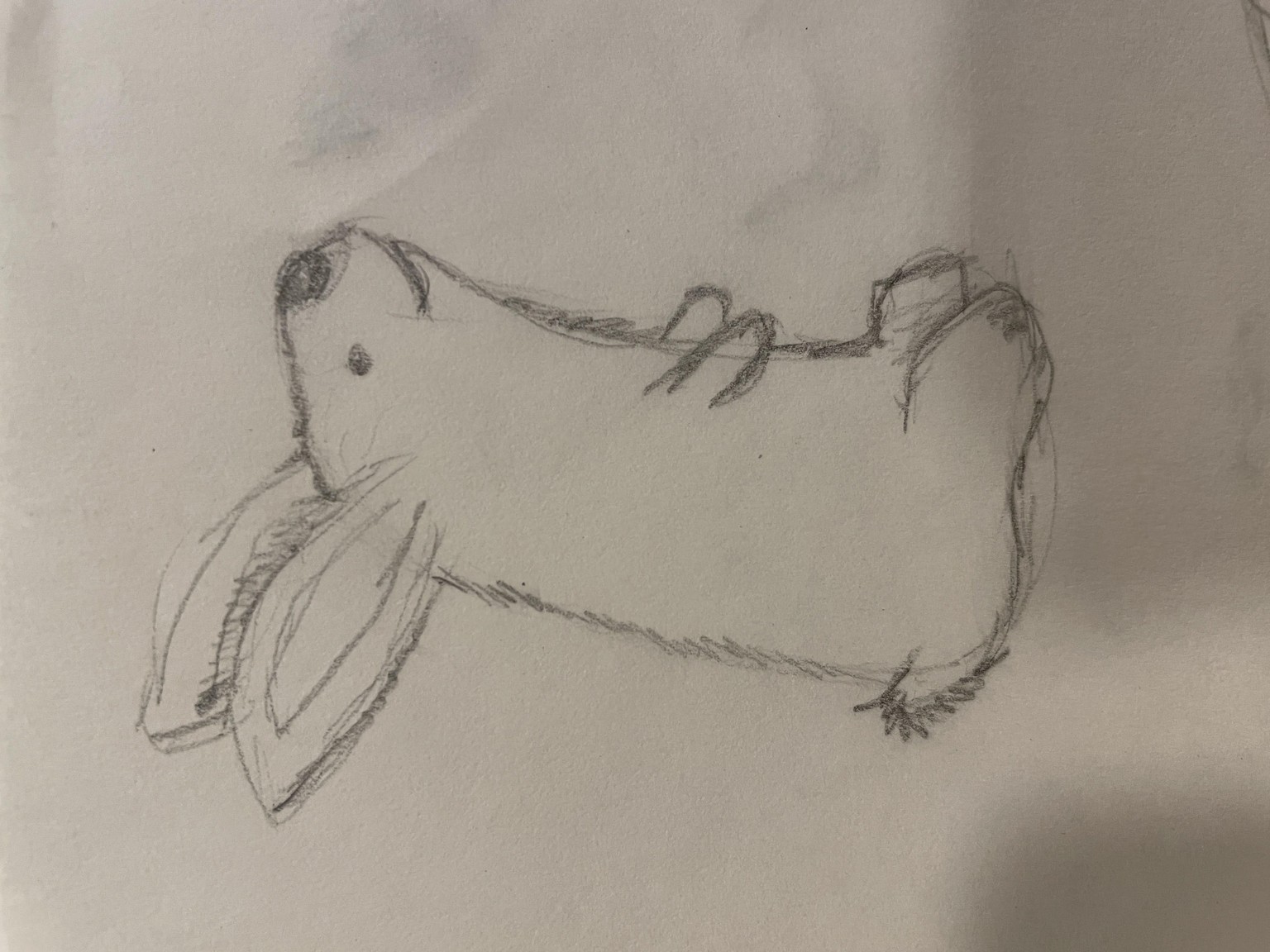 Bunnies - image 2 - student project