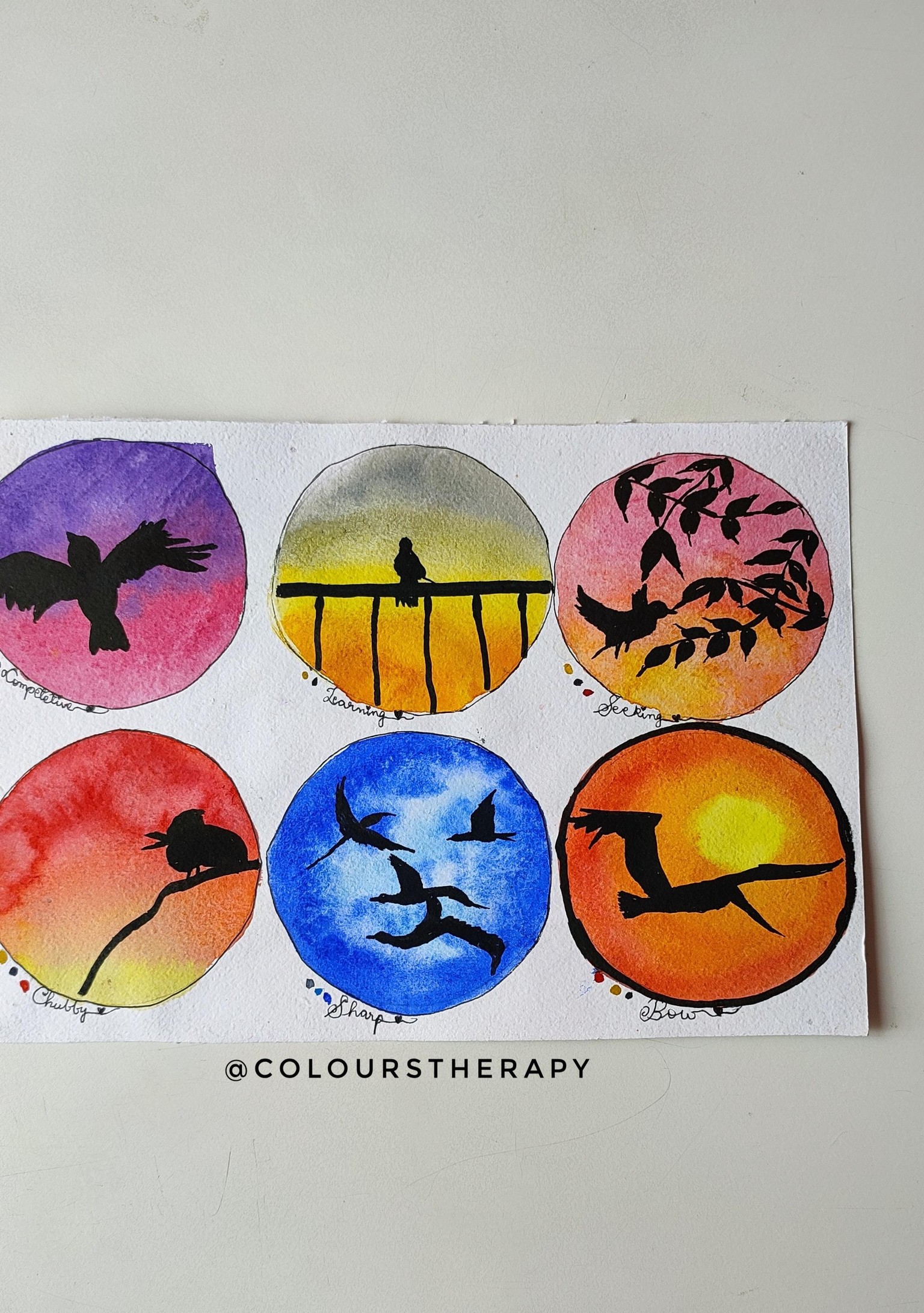 FLYING BIRDS PROJECTS (Day 1-15) - image 2 - student project