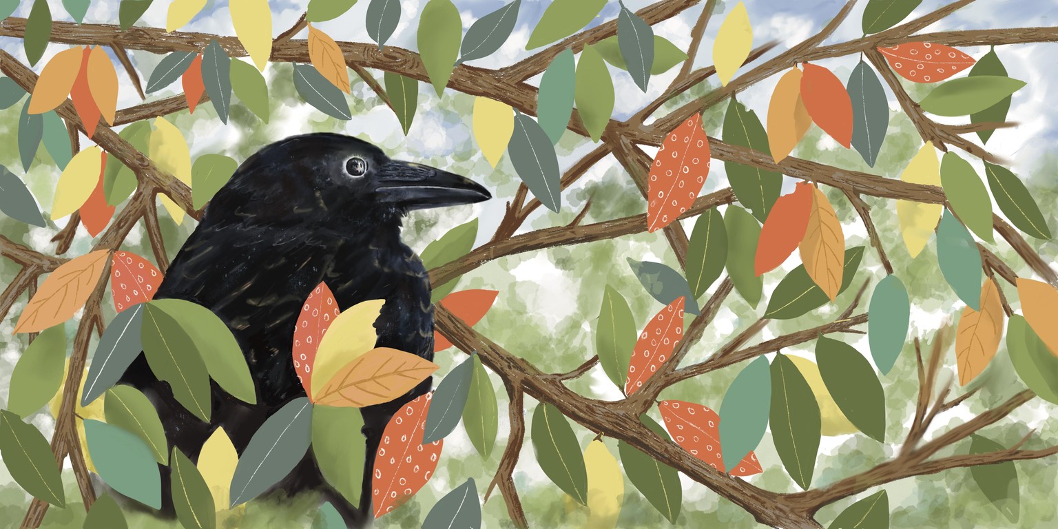 Wild Seasons - image 1 - student project