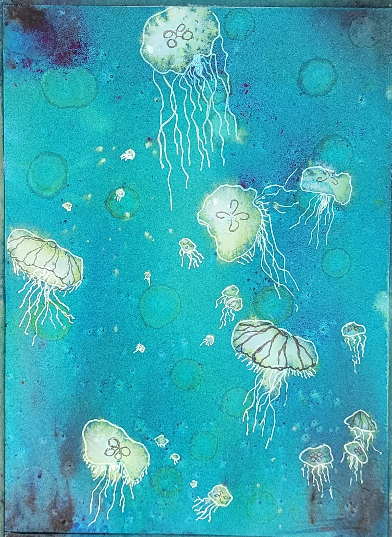 Wildflowers. Jellyfish - image 1 - student project