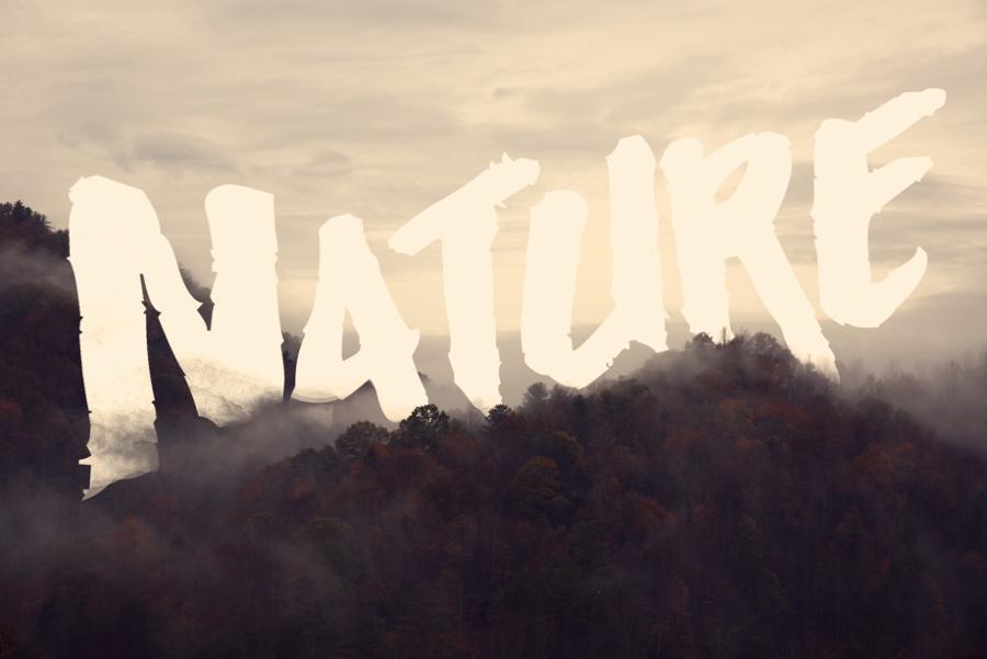 Lettering in the Wild - image 4 - student project