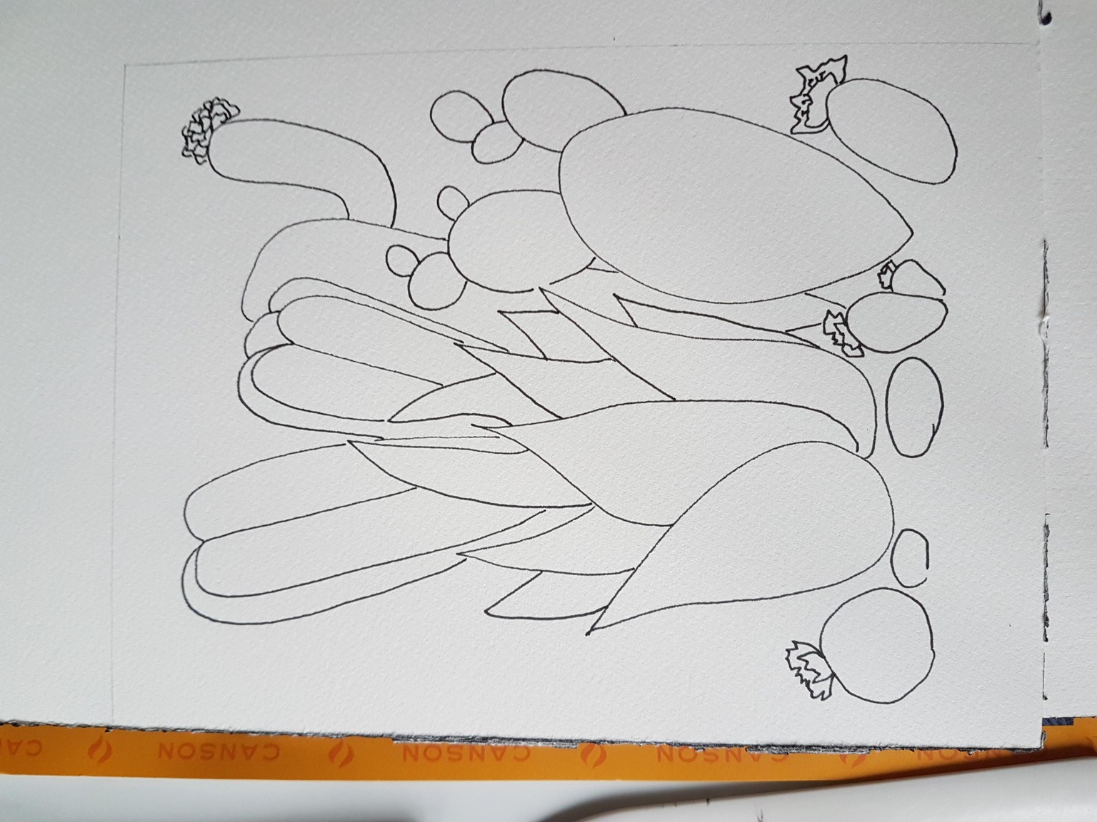 Ink and watercolour Cacti - image 2 - student project
