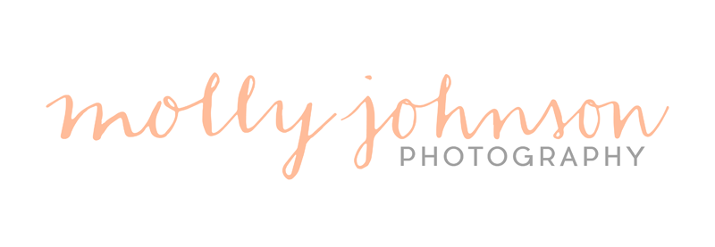 An Imaginary Photography Logo - image 2 - student project