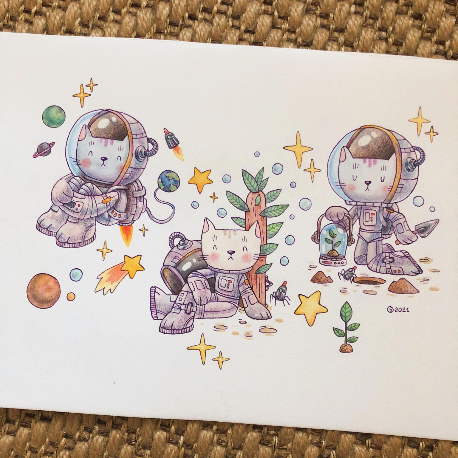 Space Cats - image 3 - student project