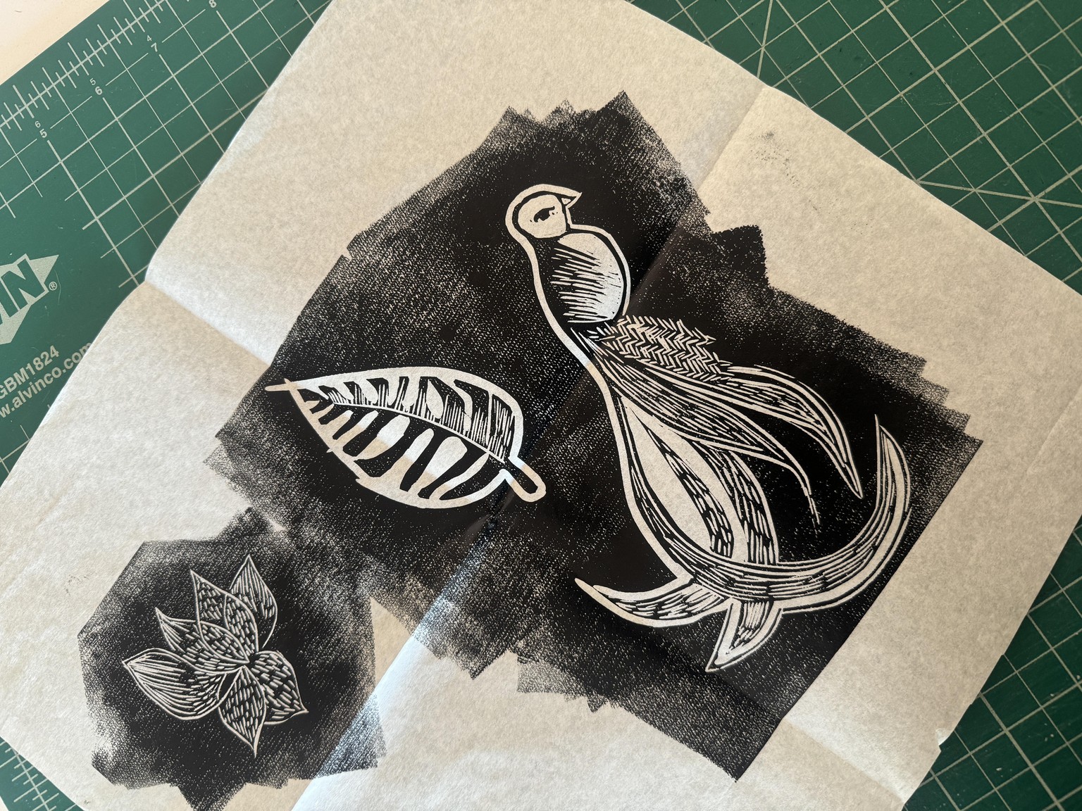 Quetzal Black and White Print - image 1 - student project
