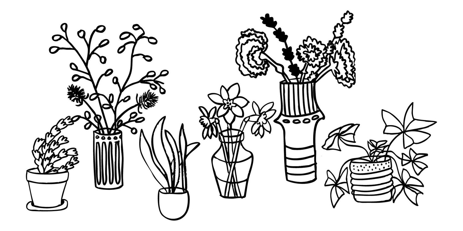 Plants and More Plants - image 2 - student project