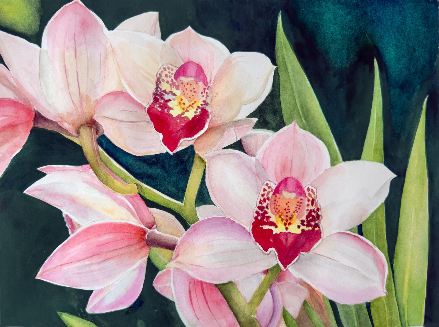 Elegant Orchids - image 1 - student project