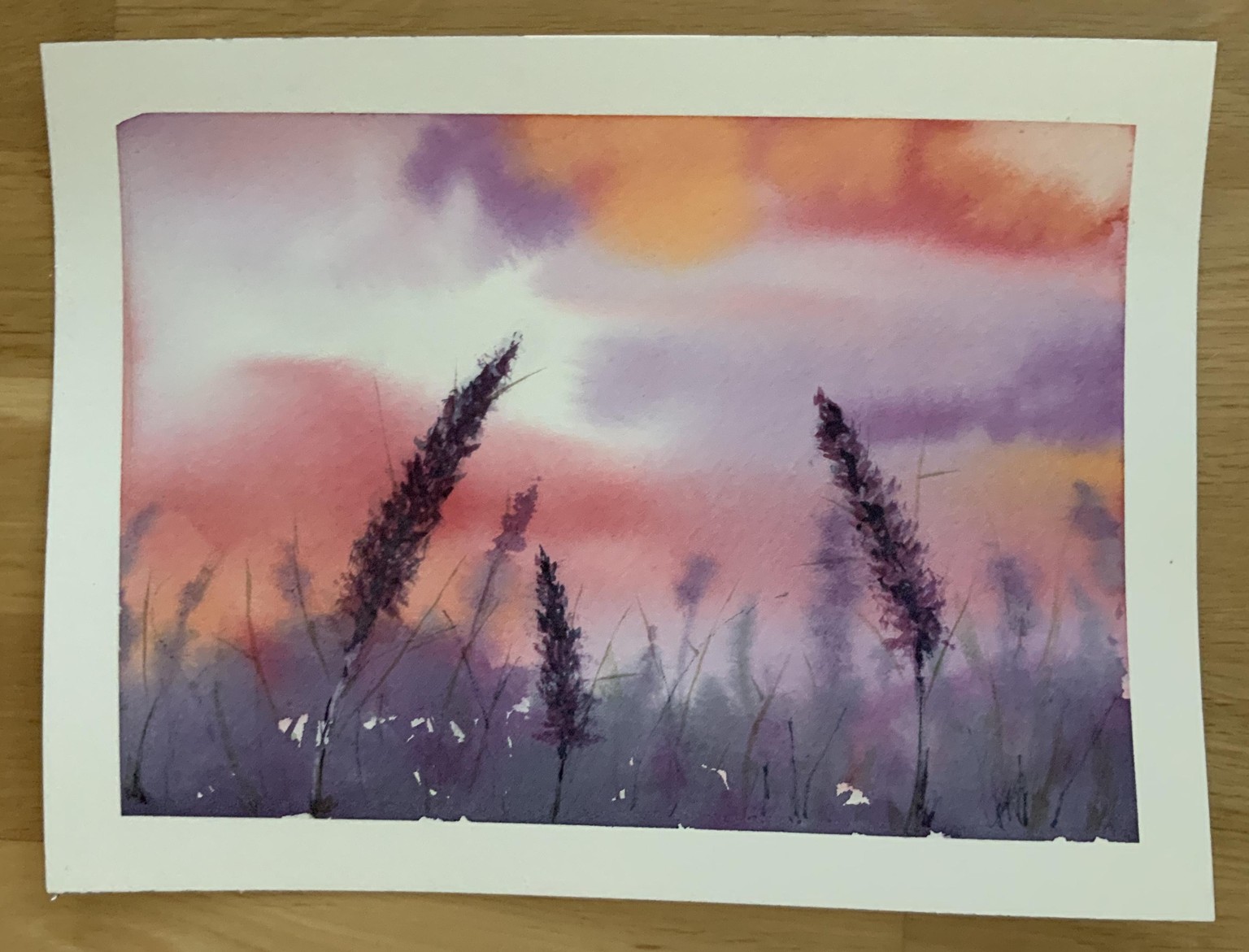 Polaroid - image 10 - student project