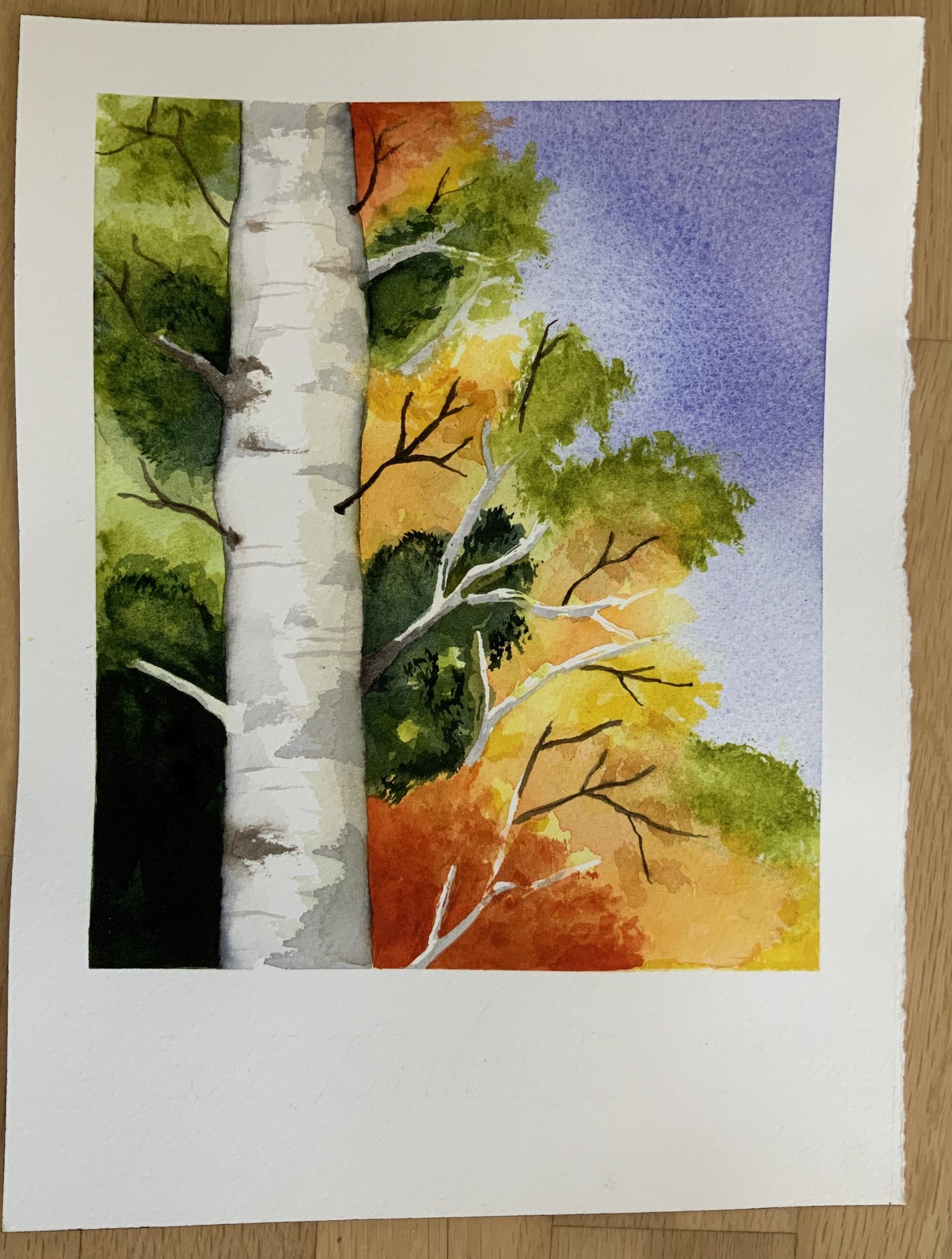 Polaroid - image 4 - student project