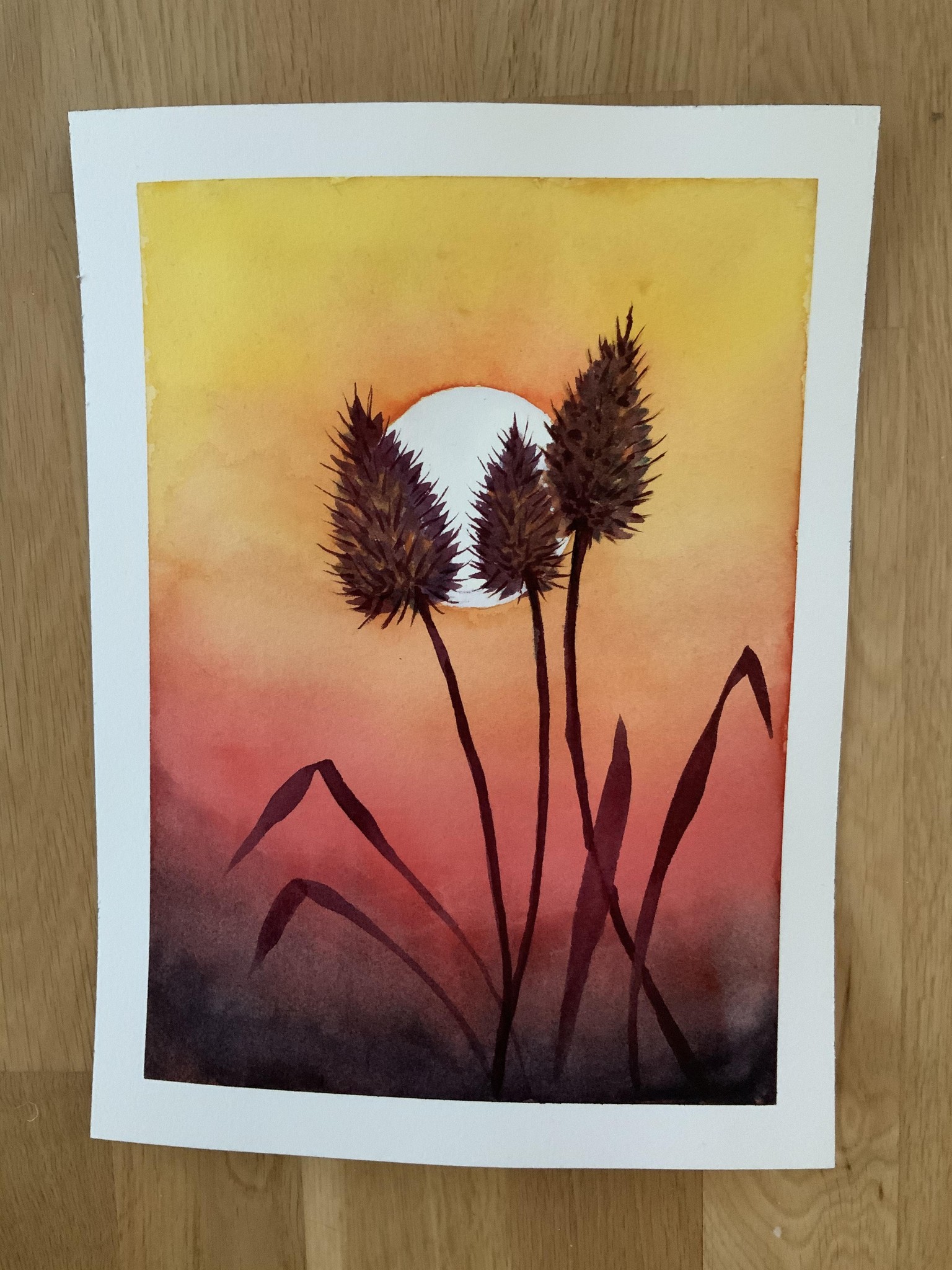 Polaroid - image 8 - student project