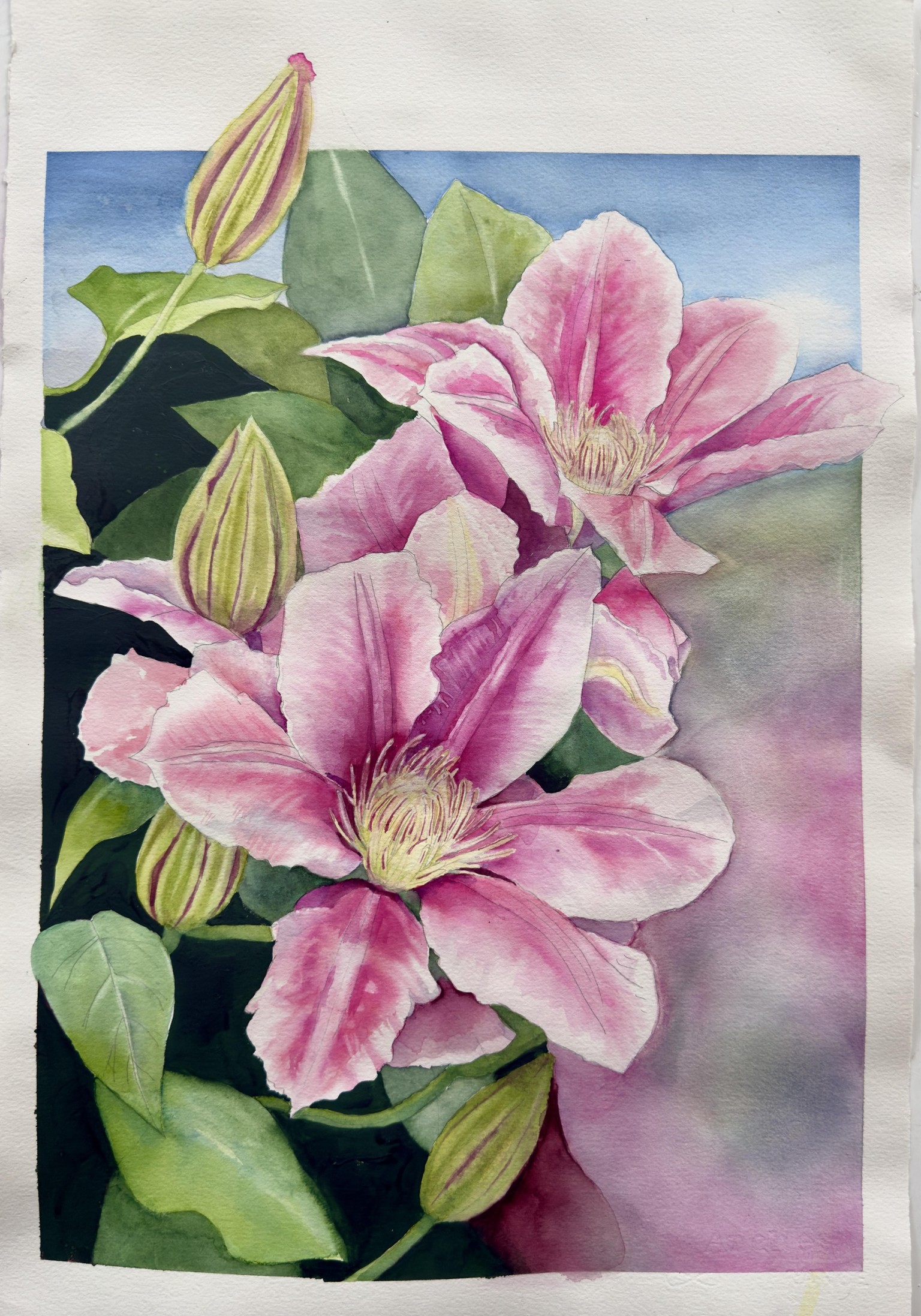 Clematis - image 1 - student project