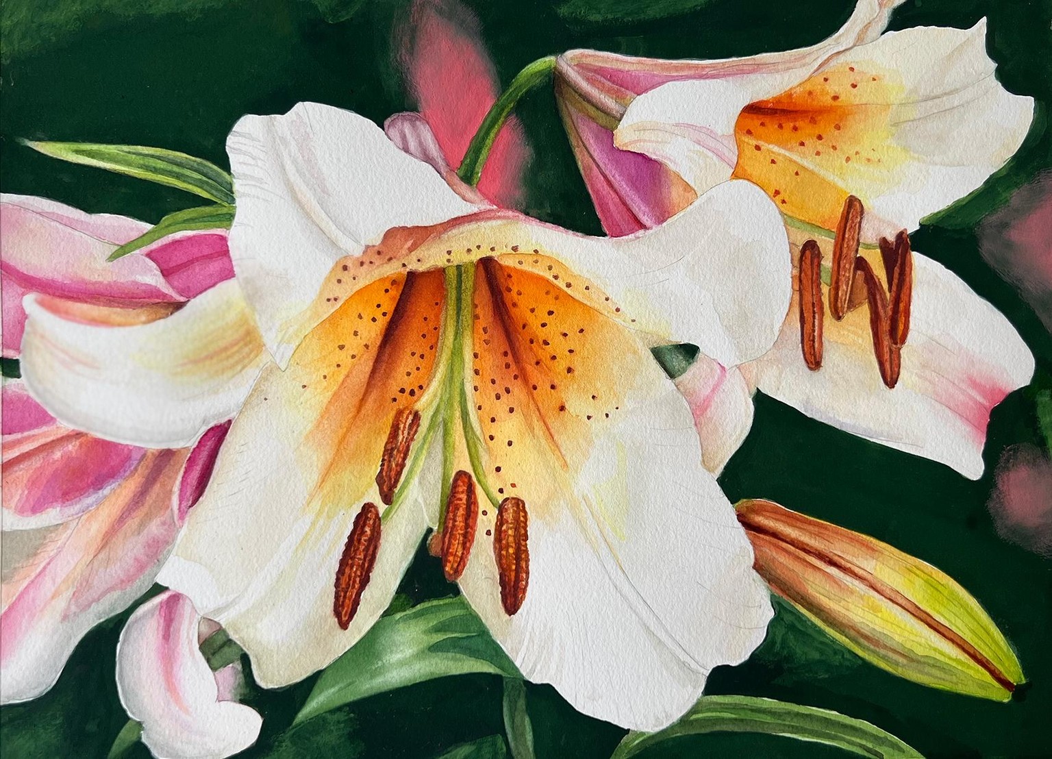 Lilies - image 1 - student project