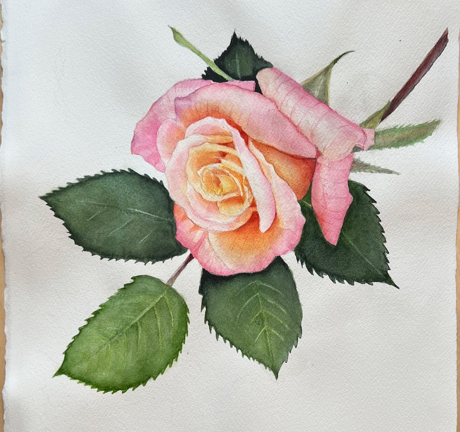a Rose - image 1 - student project