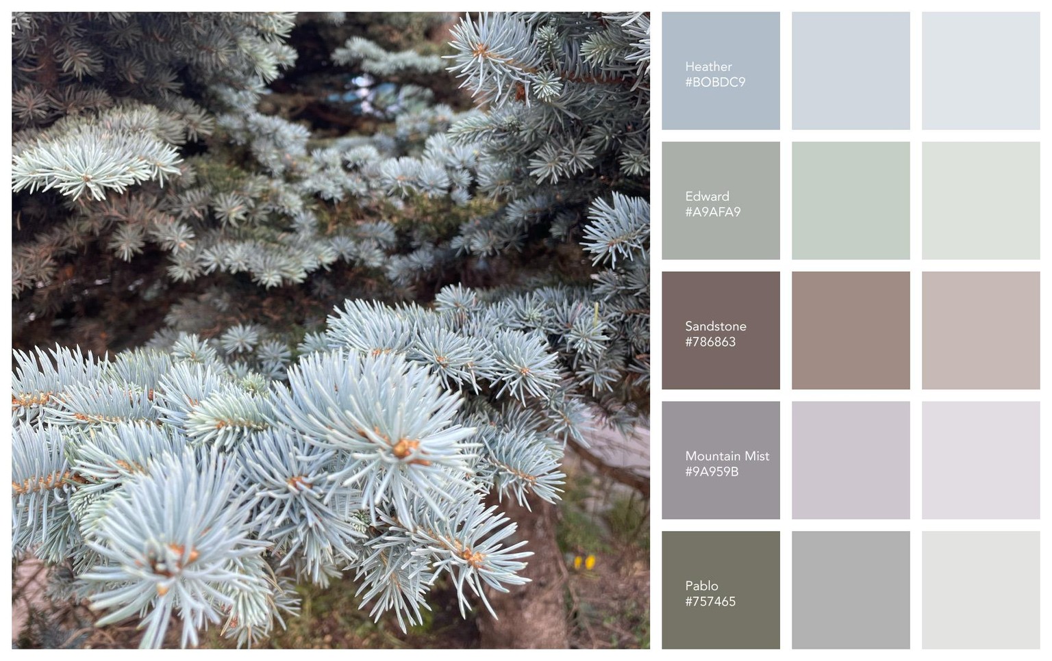 Colour schemes - image 3 - student project
