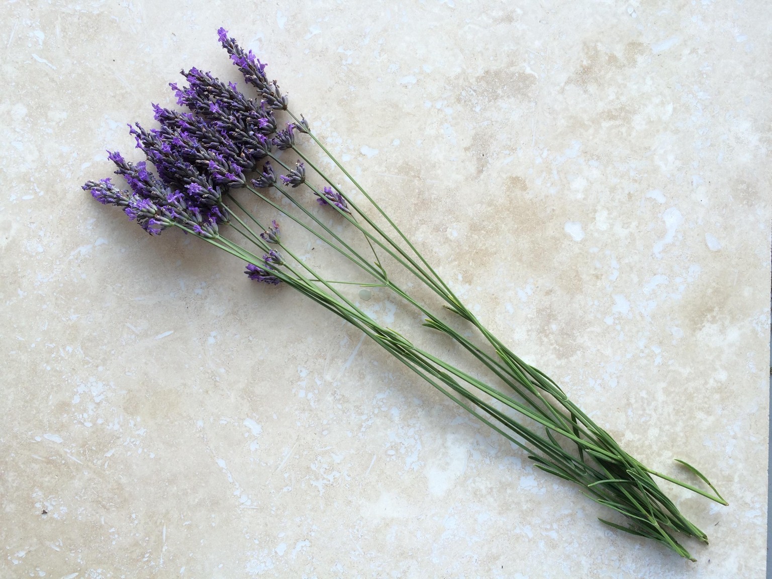 Weave a Magical Lavender Wand sample project - image 1 - student project