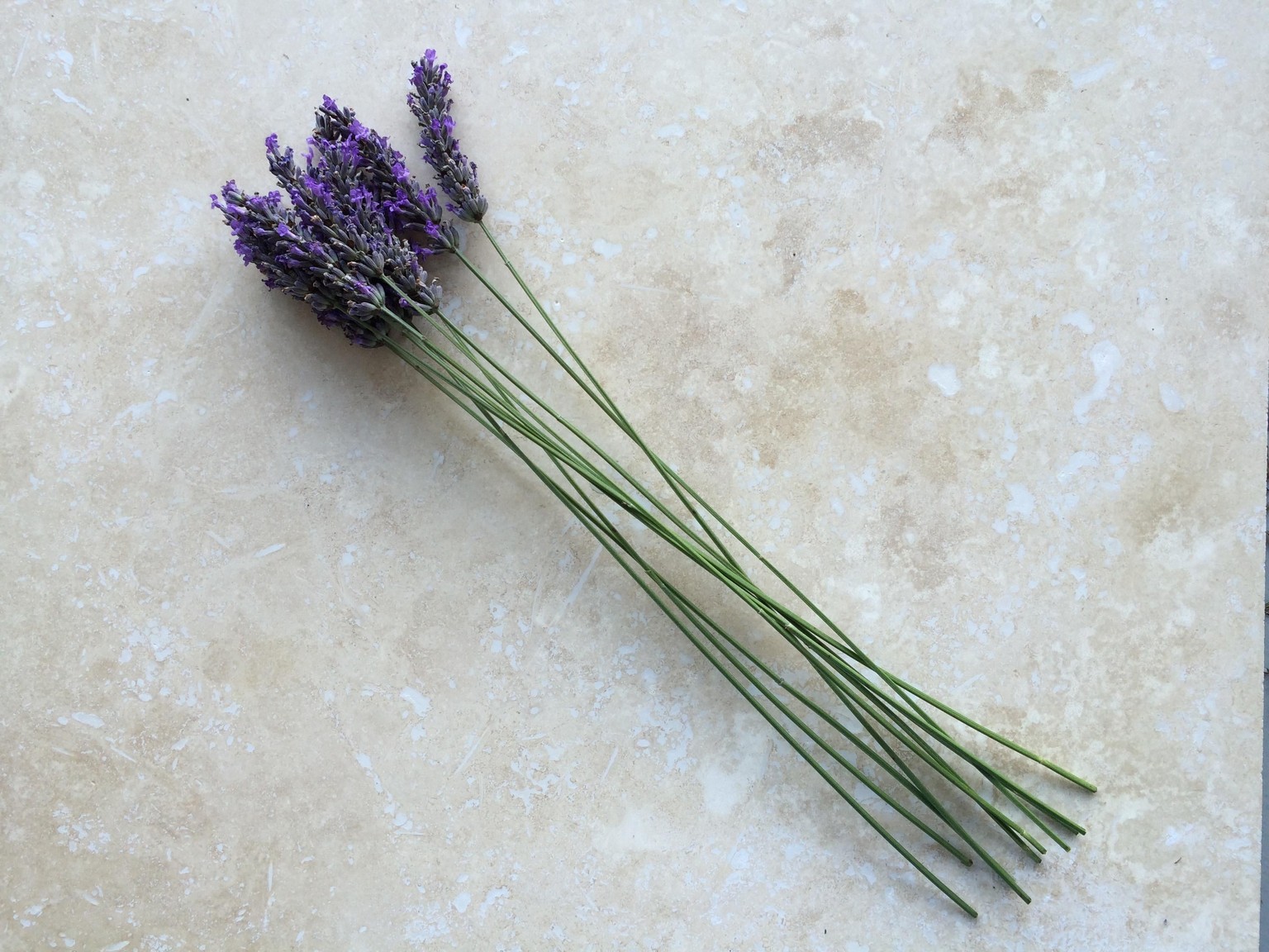 Weave a Magical Lavender Wand sample project - image 2 - student project