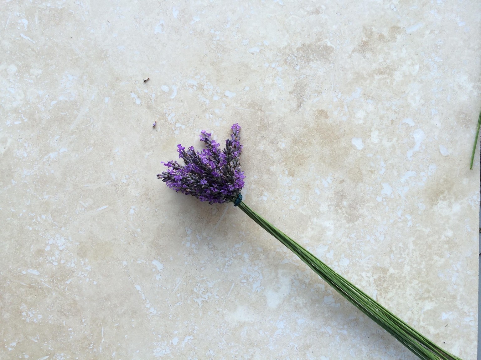 Weave a Magical Lavender Wand sample project - image 3 - student project