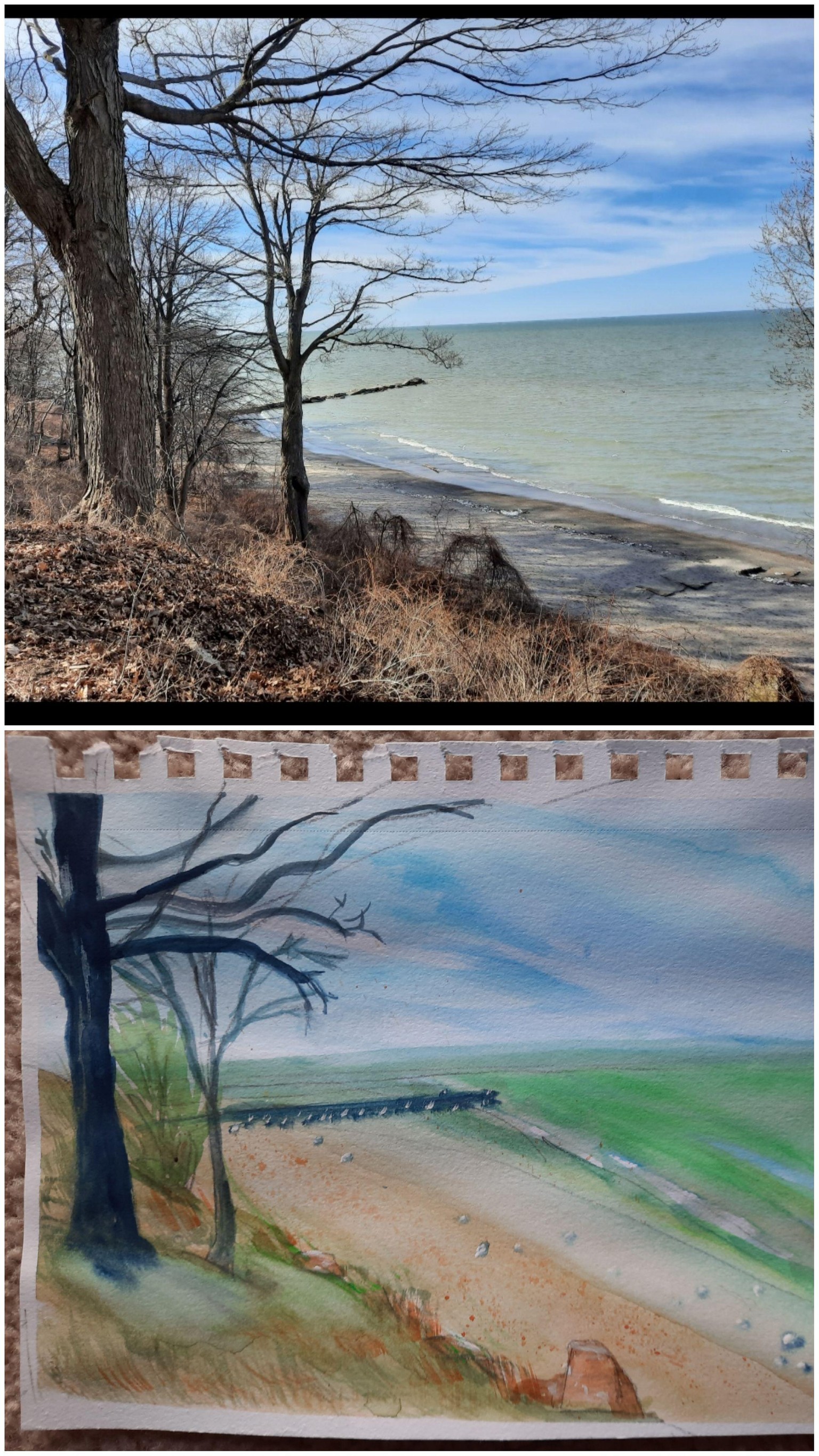 Landscapes - image 1 - student project