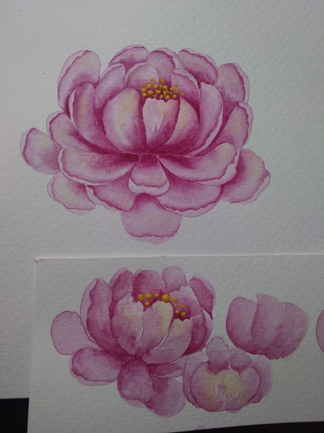 Watercolour Peonies / Monyk - image 1 - student project
