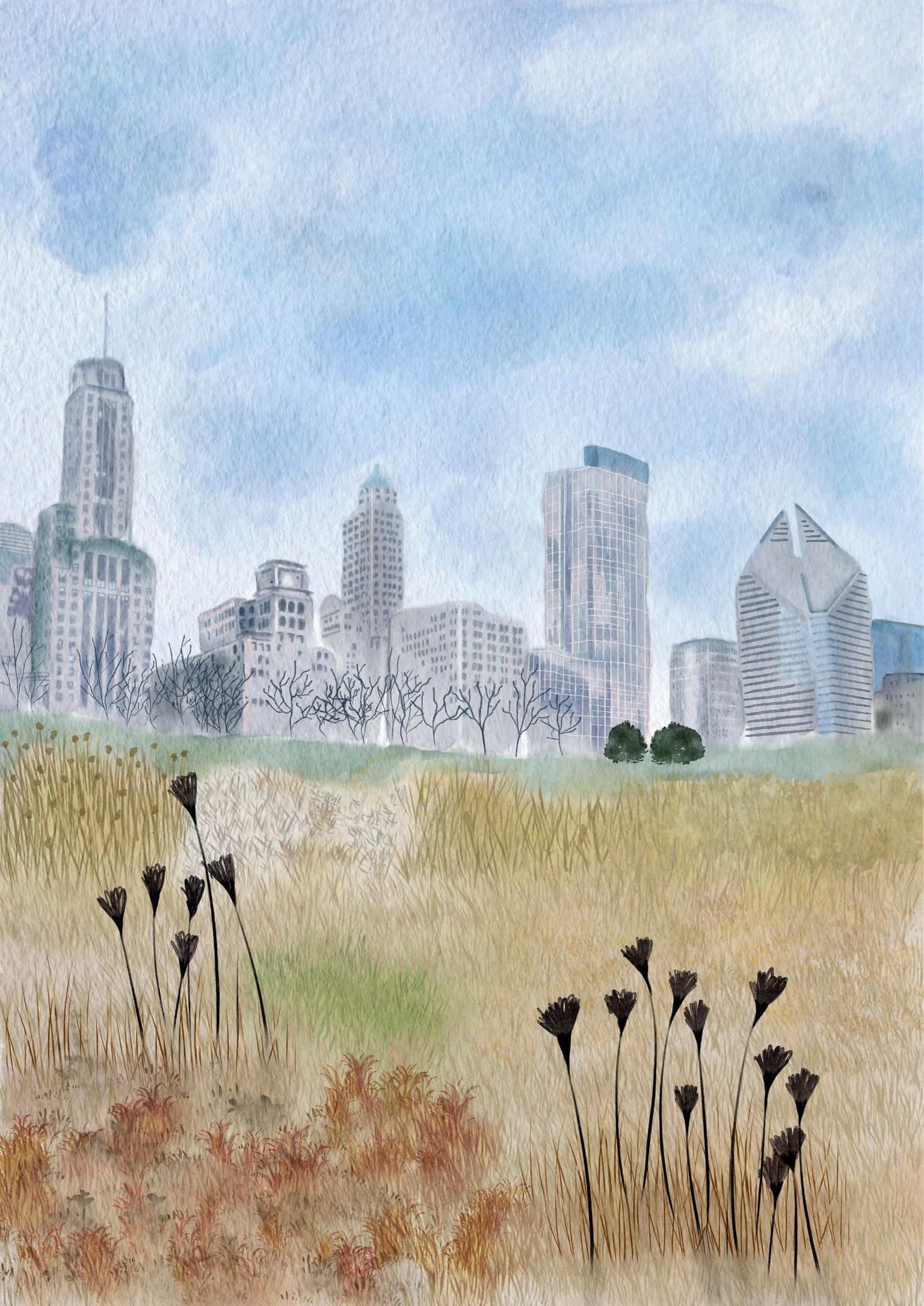 Chicago - image 1 - student project