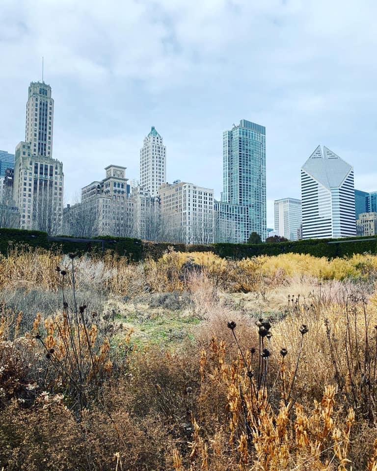 Chicago - image 2 - student project