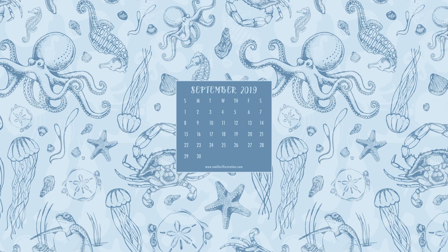 Low Country Sea Life Wallpaper - image 1 - student project