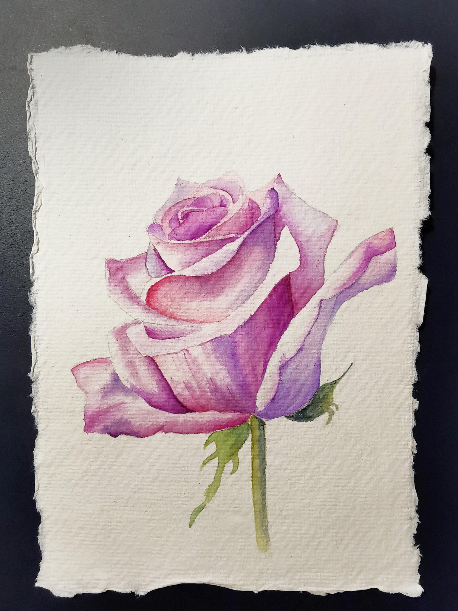 Watercolor Rose - image 1 - student project